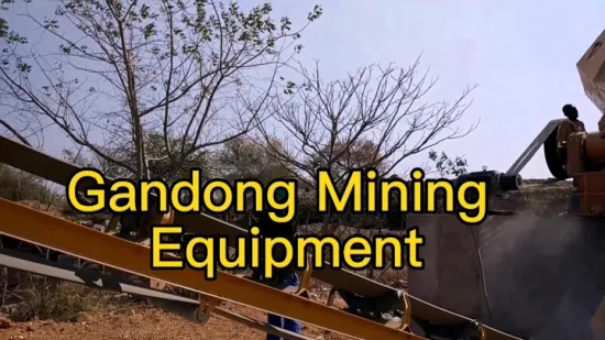 Fixed and Mobile Rock and Alluvial Underground Gold Tin Chrome Manganese Lead Zinc Tungsten Titanium Barite Copper Hematite Iron Ore Mining Equipment Price